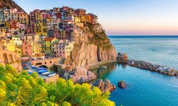 Education Consultants in Ameerpet